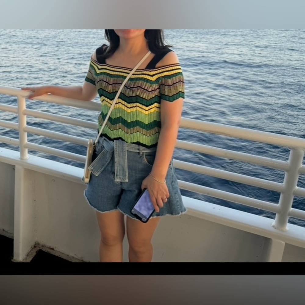 Sandro Off the Shoulder  Top